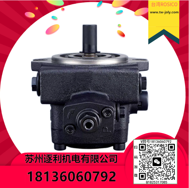 ROSICO低壓變量葉片泵VB1-20FA3液壓油泵頭VA1-12FA3 FA2 VB1-20FA2 FA1
