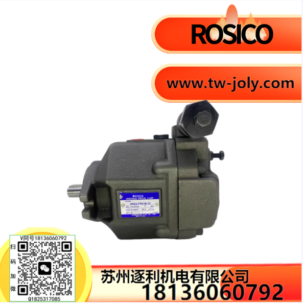 ROSICO柱塞泵AR16-FR01C-22/B-20/22液壓泵AR22-FR01C-20/22/T